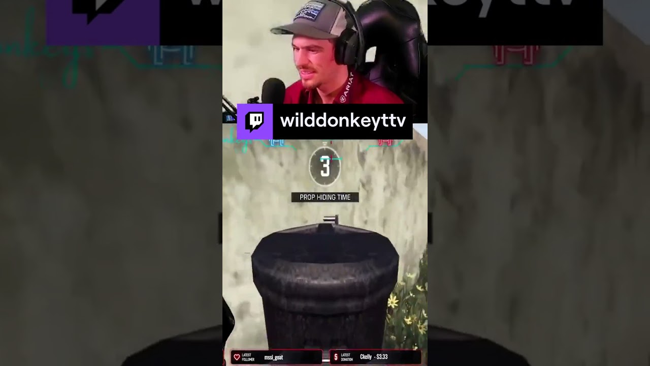 That shiets dingo | wilddonkeyttv on 