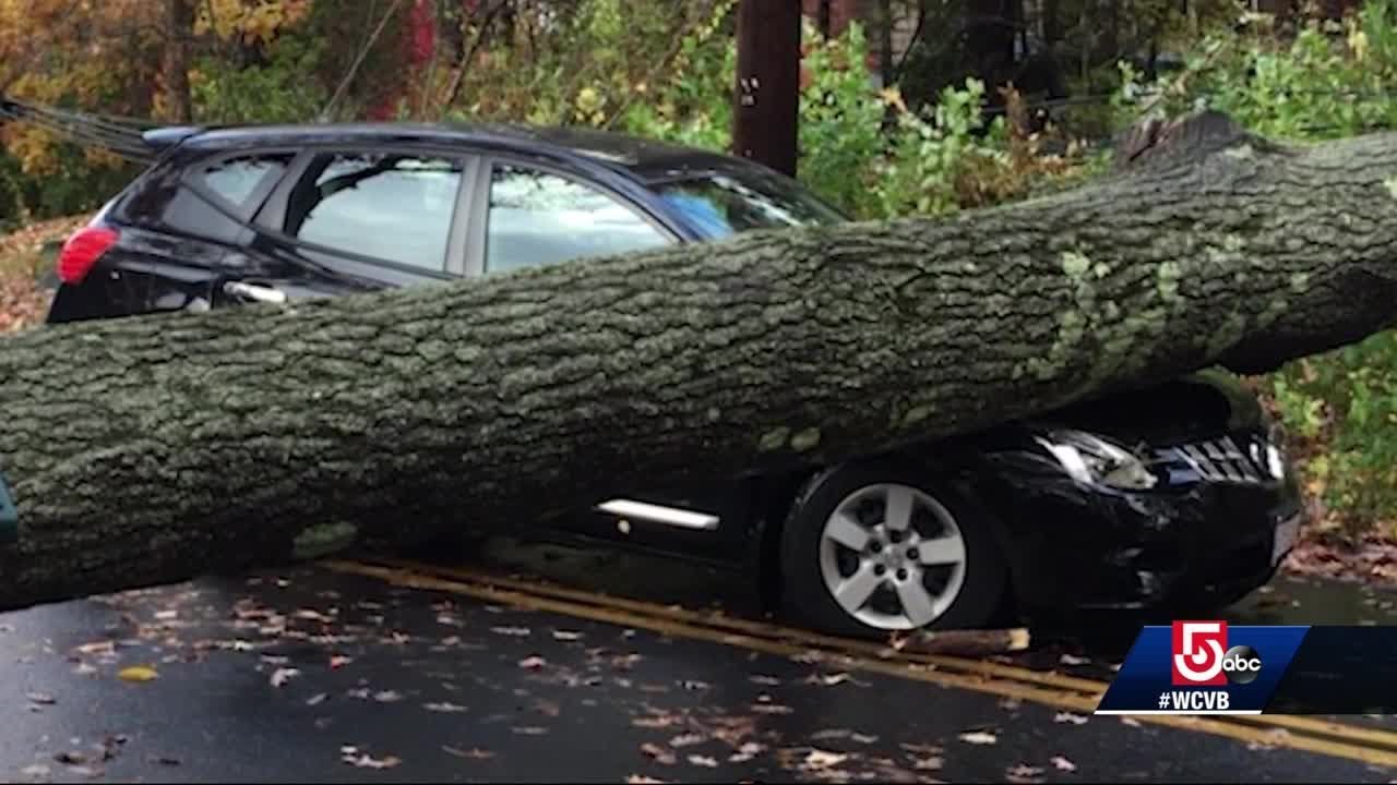 High winds take down trees, power lines - YouTube