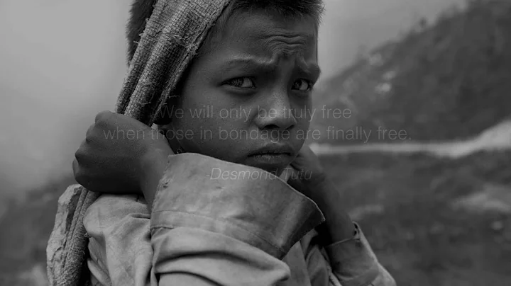 Illumination: A Prayer for Freedom by Lisa Kristin...