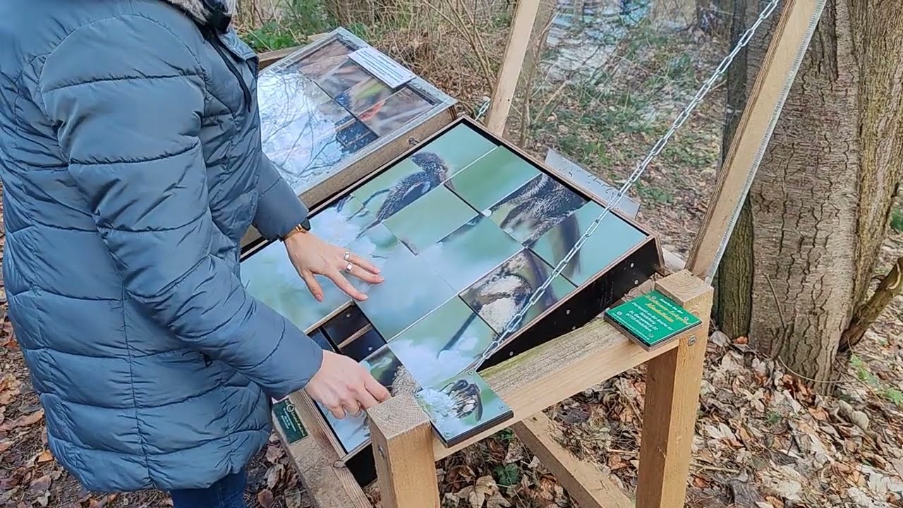 Outdoor Bilder Schiebespiel für ganz Clevere aus den 80er Jahren 🐝😉