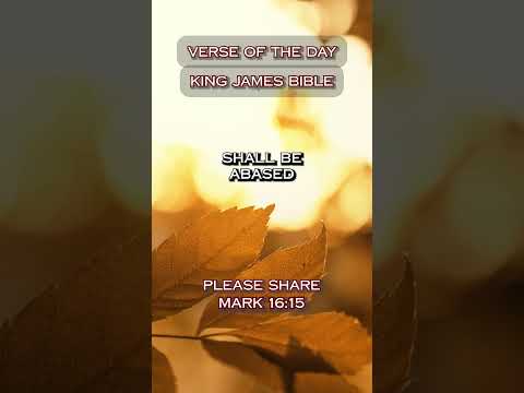 VERSE OF THE DAY - MATTHEW 23:12 #DailyScripture #BibleVerse #ChristianShorts #ScriptureOfTheDay
