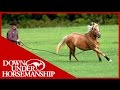 Clinton Anderson: Training a Rescue Horse, Part 6 - Downunder Horsemanship