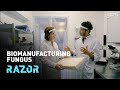 The magic mushrooms that can heat homes and eat plastic: #RAZOR full episode