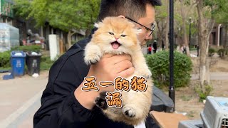 五一的猫漏你们看香不香吧