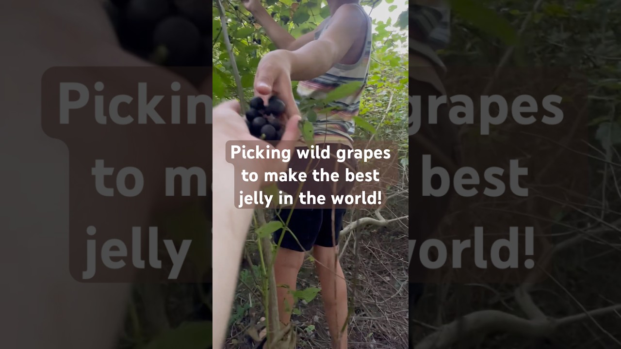 We found a fall treasure! 