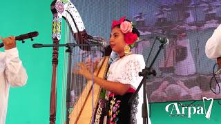 Festival Internaciona del Arpa 2019 Xochitl Aynin Gonzales Viveros - Fandango Jarocho