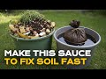 3 Easy Ways to Turn Dirt Into Living Soil (Perfect for Beginners)