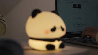 Panda Night Light Lamp