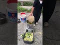 🥬 Stainless Steel Vegetable Chopper | A Game-Changer for Poultry Farmers!