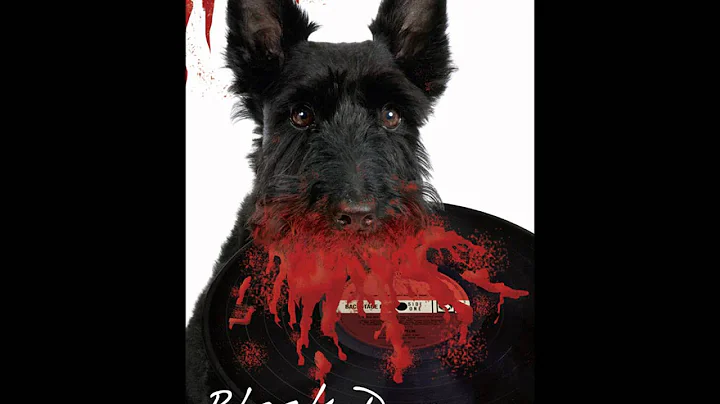 Black Dog by Matt Syverson Author Interview w Todd...