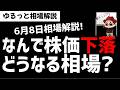 【6月8日ゆるっと相場解説】日経平均株価は大幅下落!?なんで下落している?今後の相場は?ズボラ株投資