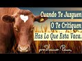 Las Vacas Que Solo Sabían Hablar Mal A Las Espaldas De Las Demás