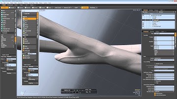 Modo Steam Edition Topology Tools