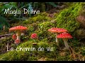 Magie divine  chemin de vie faq