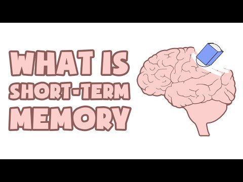 What is Short-Term Memory | Explained in 2 min