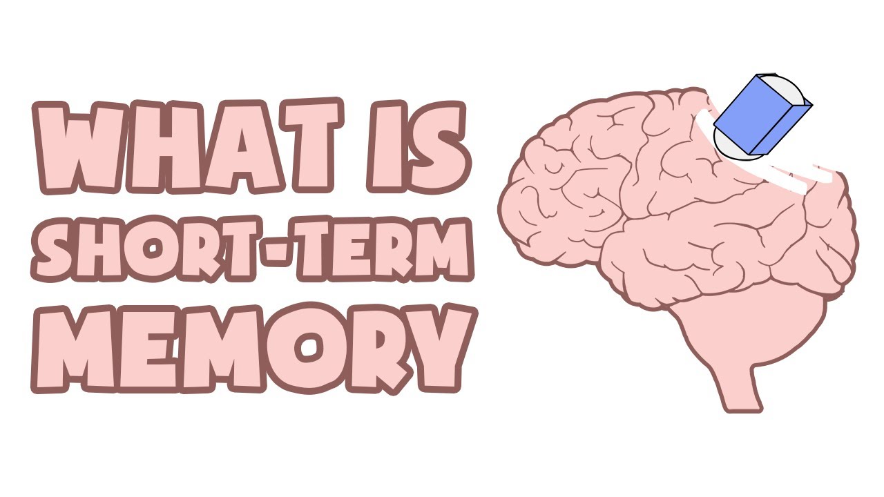 What is Short-Term Memory | Explained in 2 min - YouTube