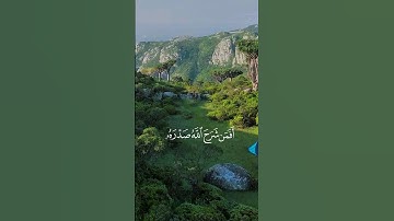 #قرآن| سورة الزمر[٢٢] ﴿ أفمن شرح الله صدره للإسلام فهو على نور من ربه..﴾ #quran