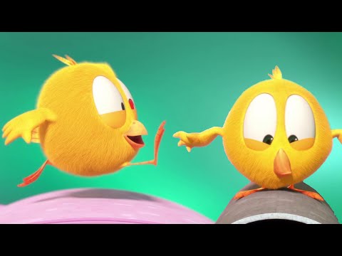 Где Чики? 🐥 Chicky НОВАЯ СЕРИЯ! маршрутная роза ✨Сборник мультфильмов на русском языке