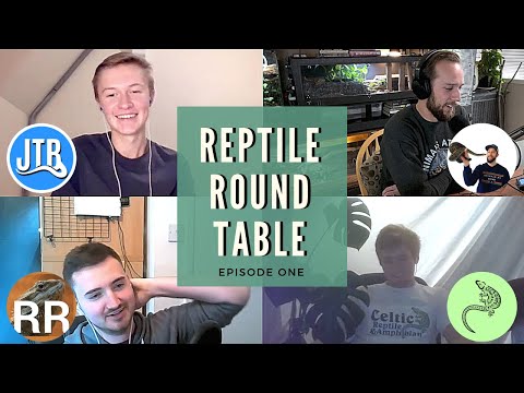 Do you NEED to go Bioactive? The Responsibility of Reptile YouTubers | Round Table 1
