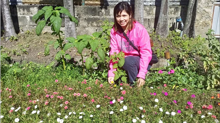 RHODORA FLOWER GARDEN/GARDEN TOUR