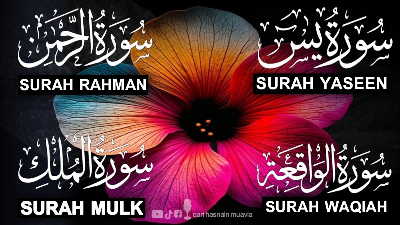 Surah Yasin ❤️ Surah Rahman , Surah Waqiah , Surah Mulk | Ep 340,یس
