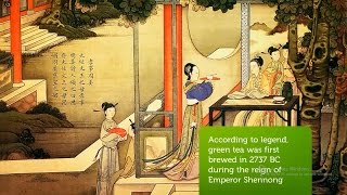 Wiki Green Tea