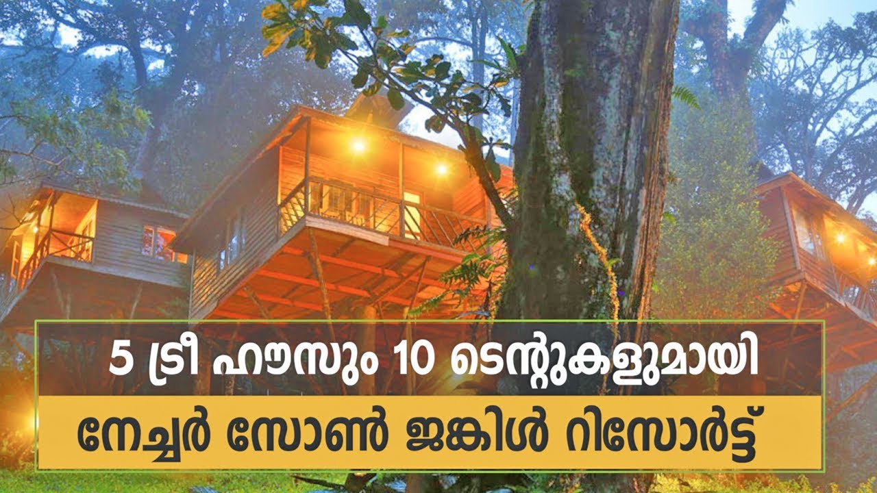 Best Tree House In Munnar Nature Zone Jungle Resort Munnar