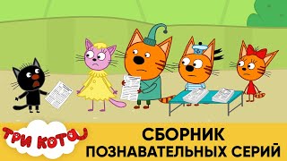 Три Кота | Сборник Познавательных Серий | Мультфильмы для детей 