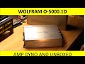 Wolfram O-5000.1D 5000W for under $400?! Let's find out!