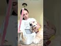 #funny #pets #funnyanimals #cutecats #funnydogs