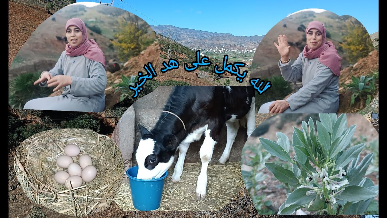 حنا فيد الله إلا بغا الله كون فيكون يرحمنا بي رحماتو الواسيعة🌧️🌧️🤲🤲
