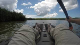 Famous Python Adventures Net Worth