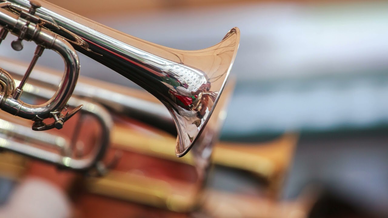 Wiener Böhmische (LIVE-Mitschnitt)