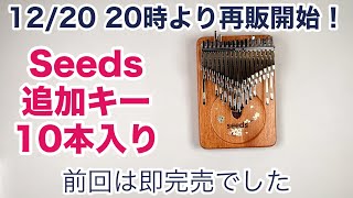 カリンバ&カリンバBOOK2冊セット YouTube
