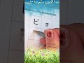 How to Write Katakana 24-ビャビュビョ (byabyubyo) - Japanese Alphabet