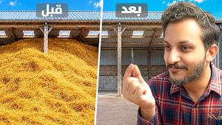 أخيراً لقيت الإبرة! — trending on YouTube in Jordan