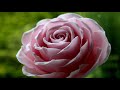 Realistic Beginner Fondant Rose Sugar Gumpaste Rose Tutorial Edible New Style