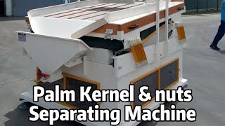Palm Kernel Processing Upgrade: Gravity Separator for Precise Shell & Kernel Separation #palmkernel
