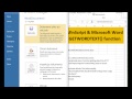 GetWordText function 1