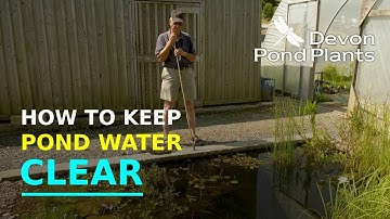 Hoe u vijverwater helder houdt