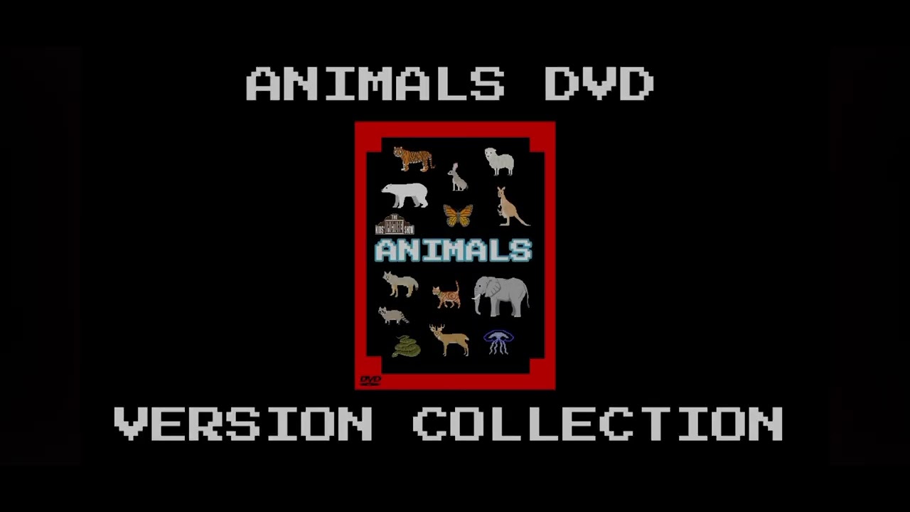 Animals dvd 📀 collection into for ‪@rosirodas5305‬ - YouTube