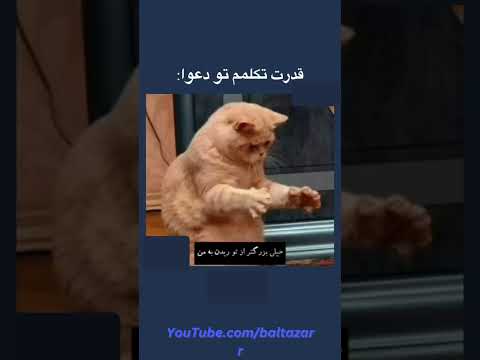 قدرت تلکمم نو دعوا Fuuny فان 