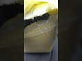 CutiePlusU ABD Yellow 2 Windelfetisch