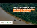 Loreto: Detectan primeros casos de deforestación por minería ilegal en el río Nanay de Iquitos