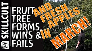 WINS and FAILS on Established Fruit and Nut Tree Shapes, Lessons and Remedial Pruning