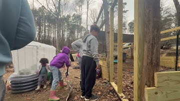 Installing Netting on Our Chicken Run (Quick & Easy!)