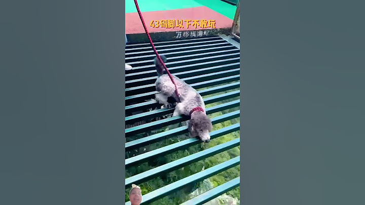Bungee jumping with rope in beautiful place!sky bridge are 😍 🤩😃#viralvideo #viralshorts