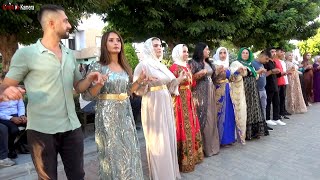 Mersin Çay Mallesinde Harika Düğün - Grani Ağır Delilo - İnceoğlu Ailesi - Tofan Erdal Resimi