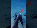 weird dolphins #usa