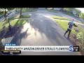 CAUGHT ON CAMERA: Third-party Amazon driver steals planter from Holland home